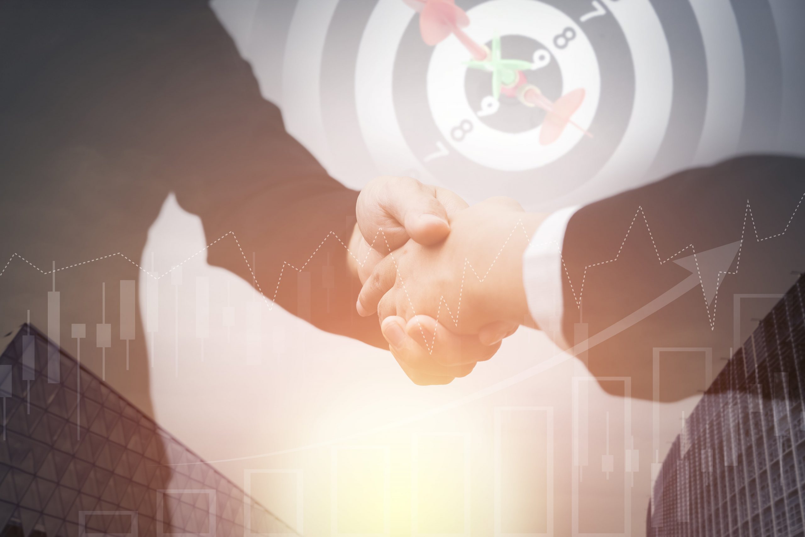 interim professionals